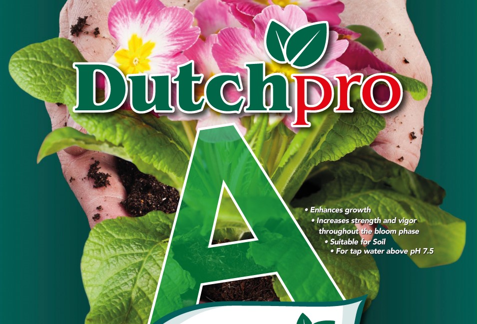 dutchpro ar applicatie